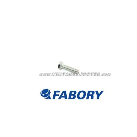 Boulon  M 6 mm L 25 mm zingué FABORY